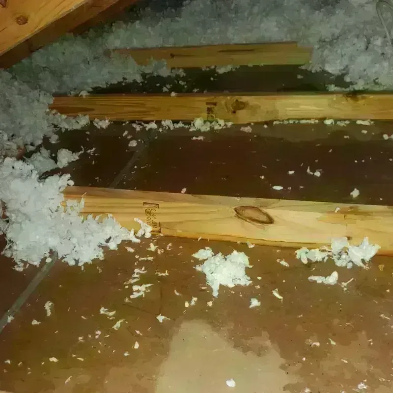 Attic Water Damage in Shell Point, SC