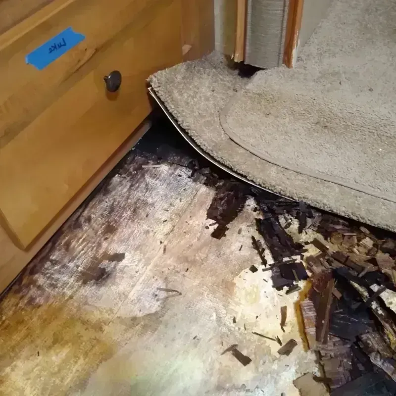 Wood Floor Water Damage in Shell Point, SC